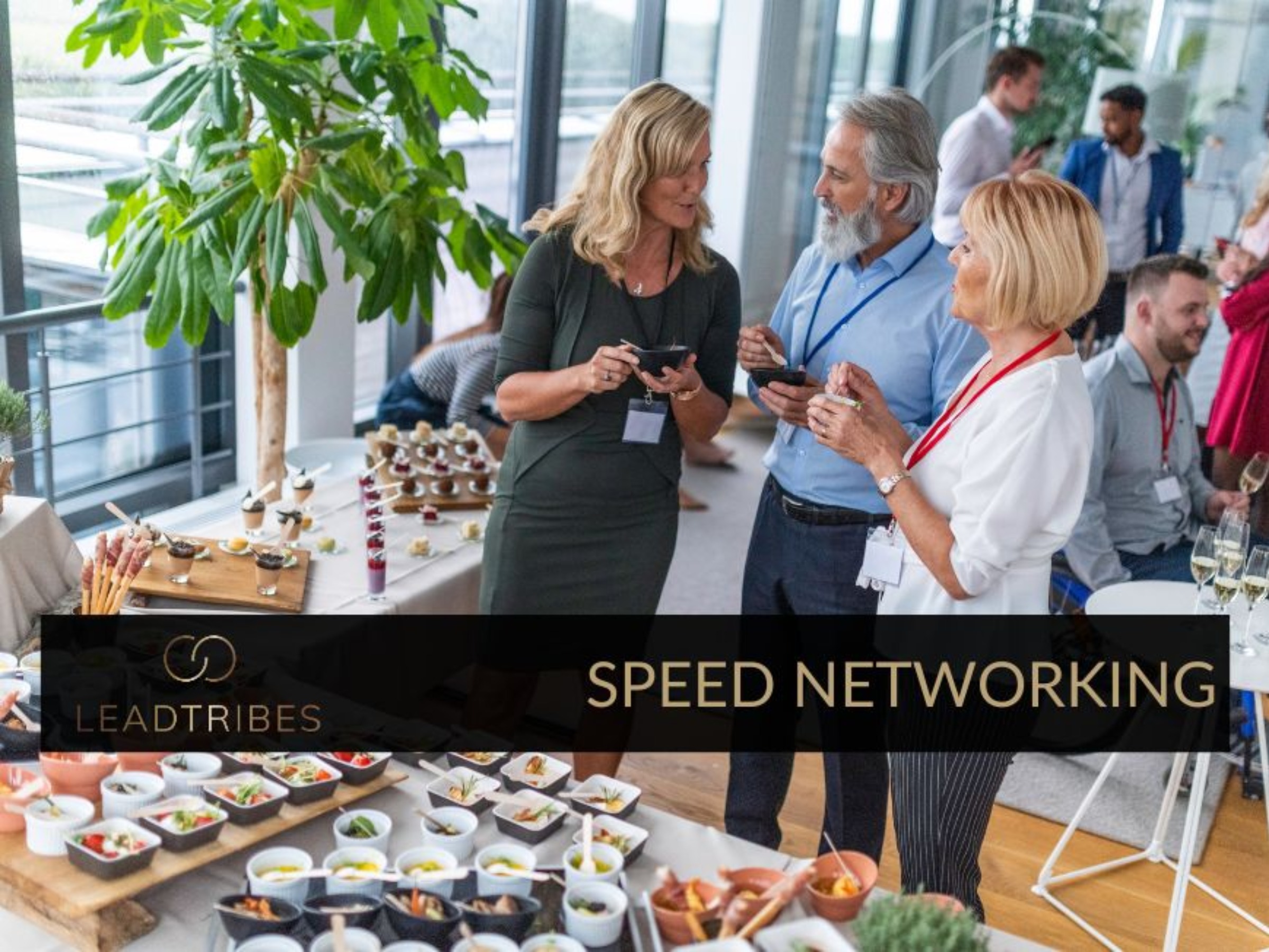 Mississauga speed networking breakfast.
