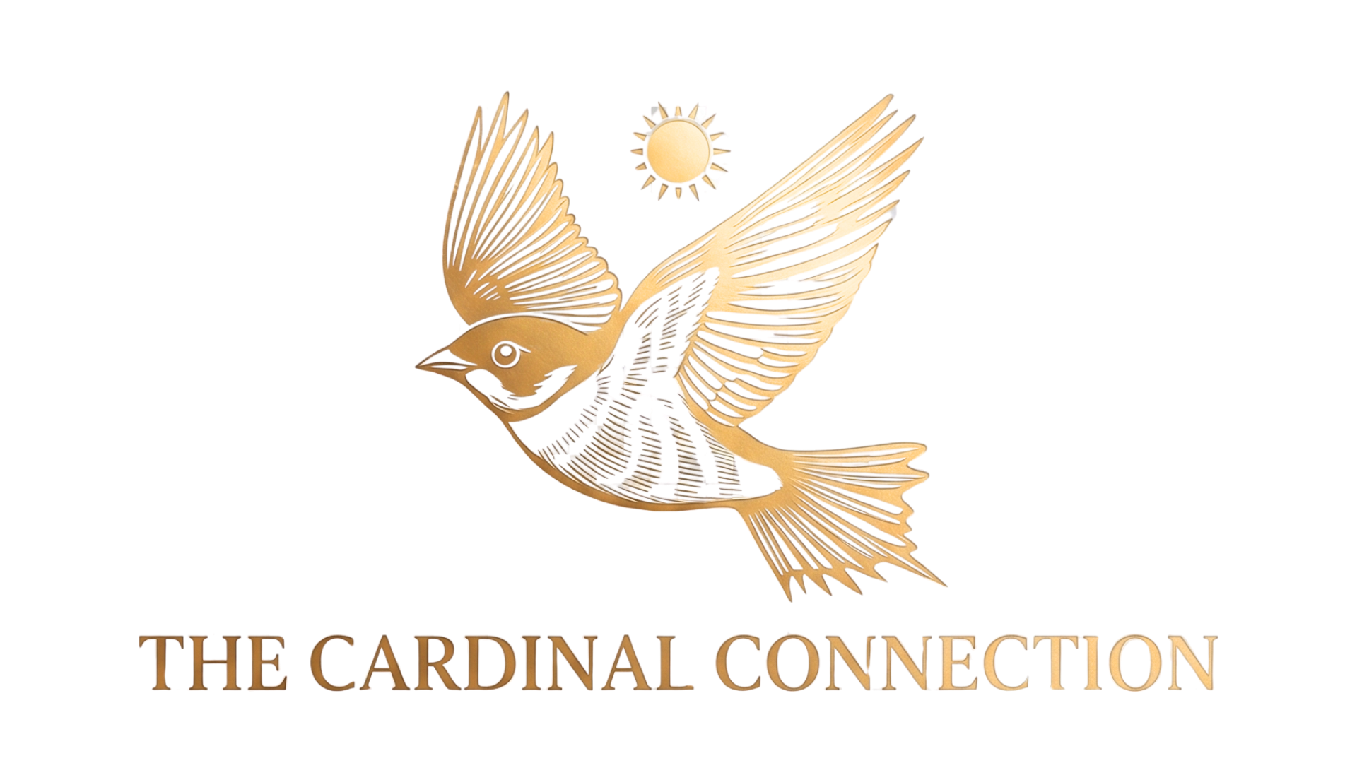 Company Logo Images