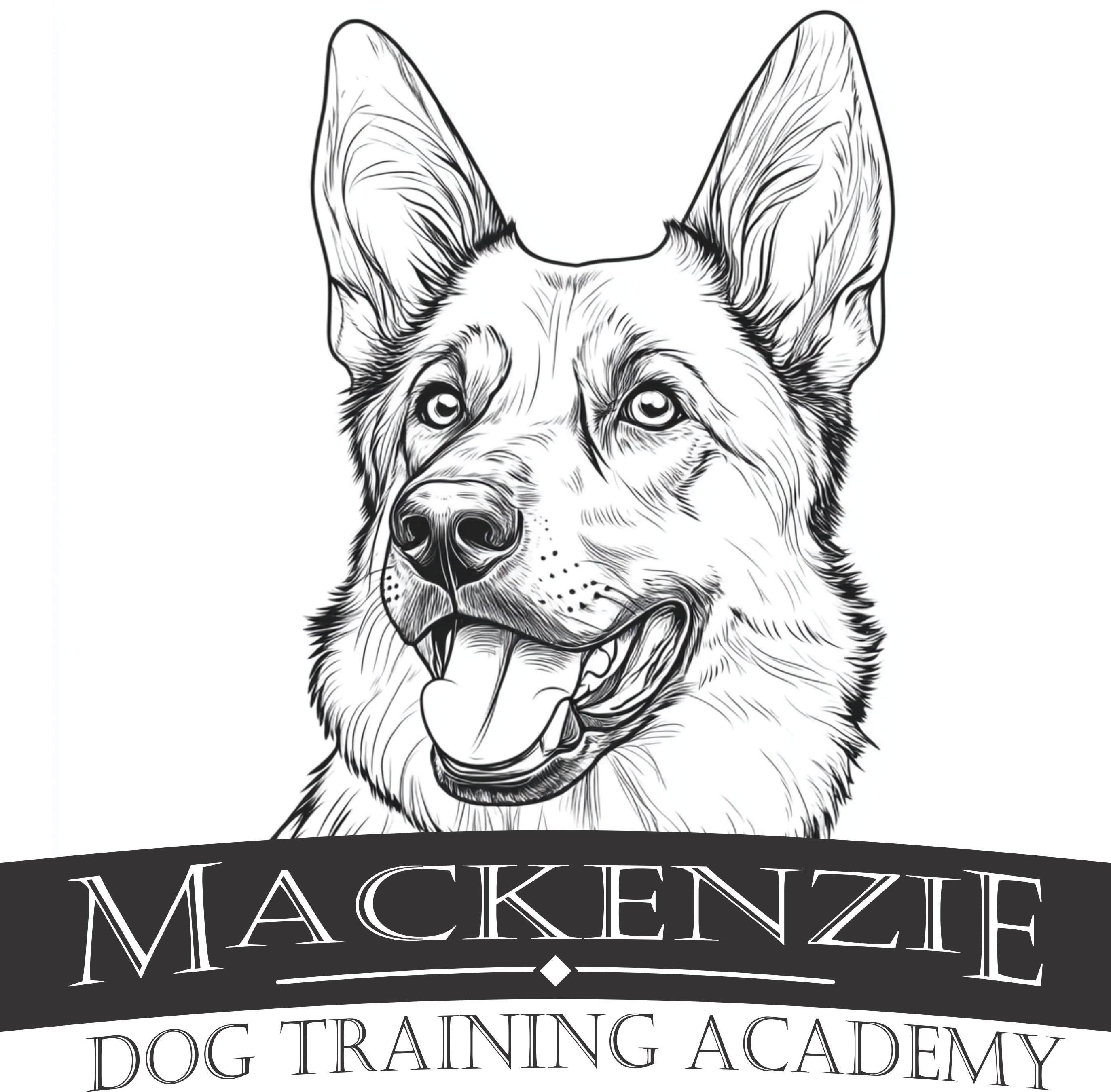 Company Logo Images